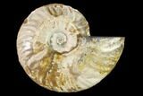 Cut & Polished Ammonite Fossil (Half) - Agate Replaced #146122-1